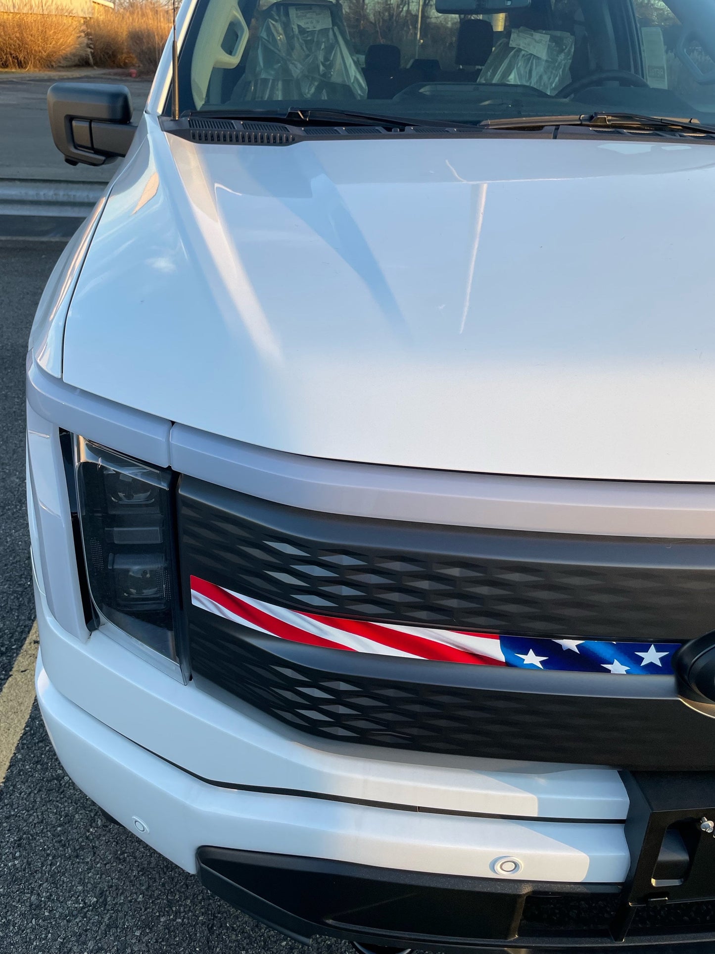 Grille Stripe Decal by LUDesignsNY Custom Created & Sized to fit a 2022-2025 Ford F-150 Lightning