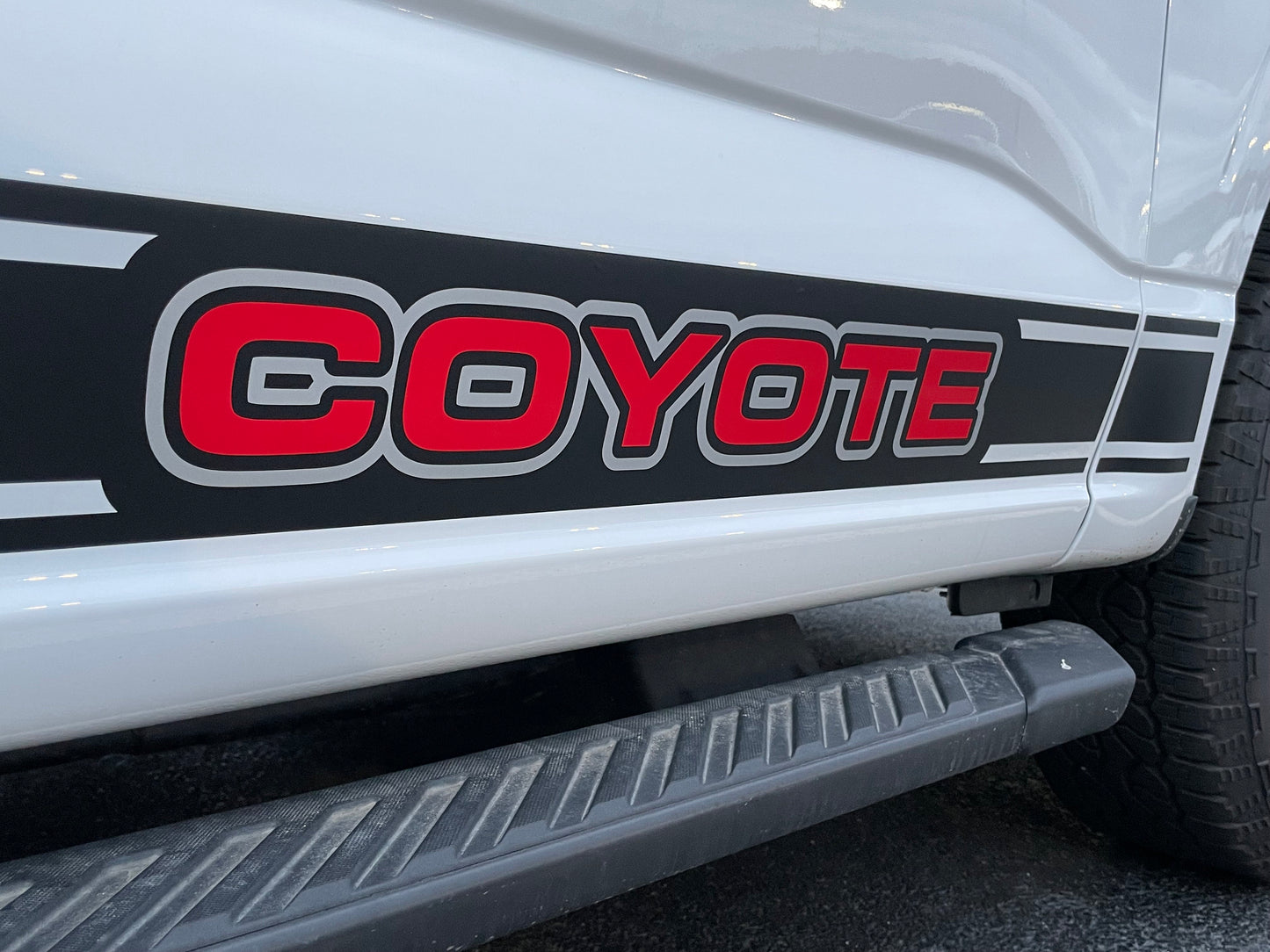 Rocker Stripe Decals by LUDesignsNY Custom Created & Sized to fit on a 21-25 Ford F-150 Super Crew or Super Cab Installation Video Included!