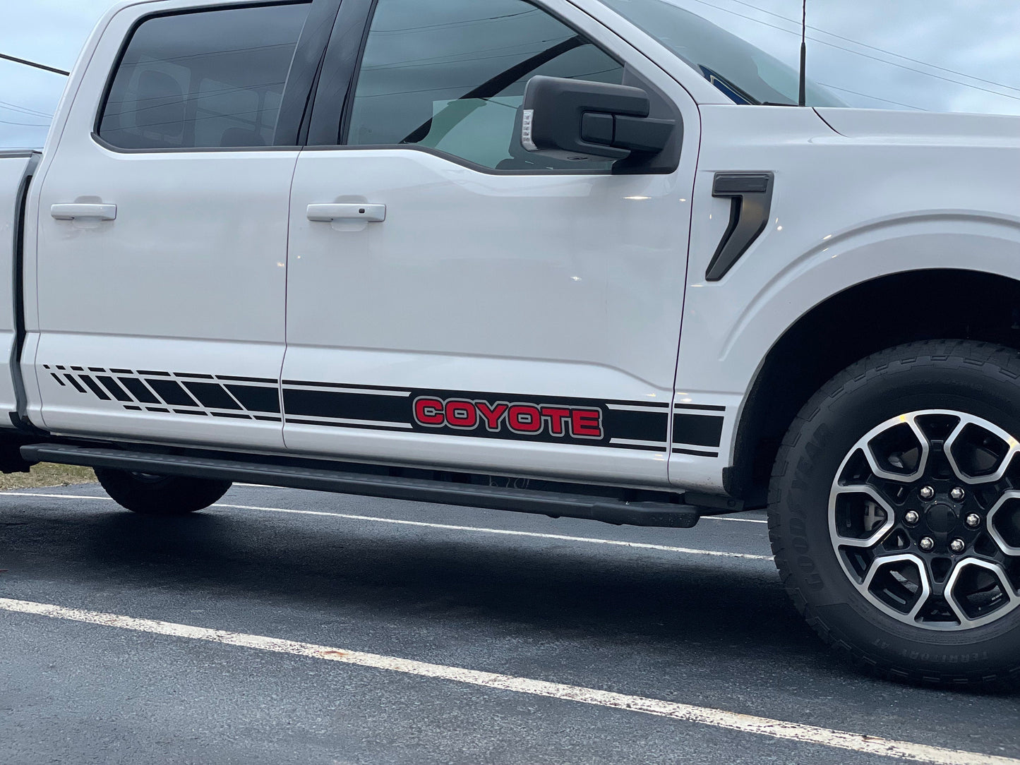 Rocker Stripe Decals by LUDesignsNY Custom Created & Sized to fit on a 21-25 Ford F-150 Super Crew or Super Cab Installation Video Included!