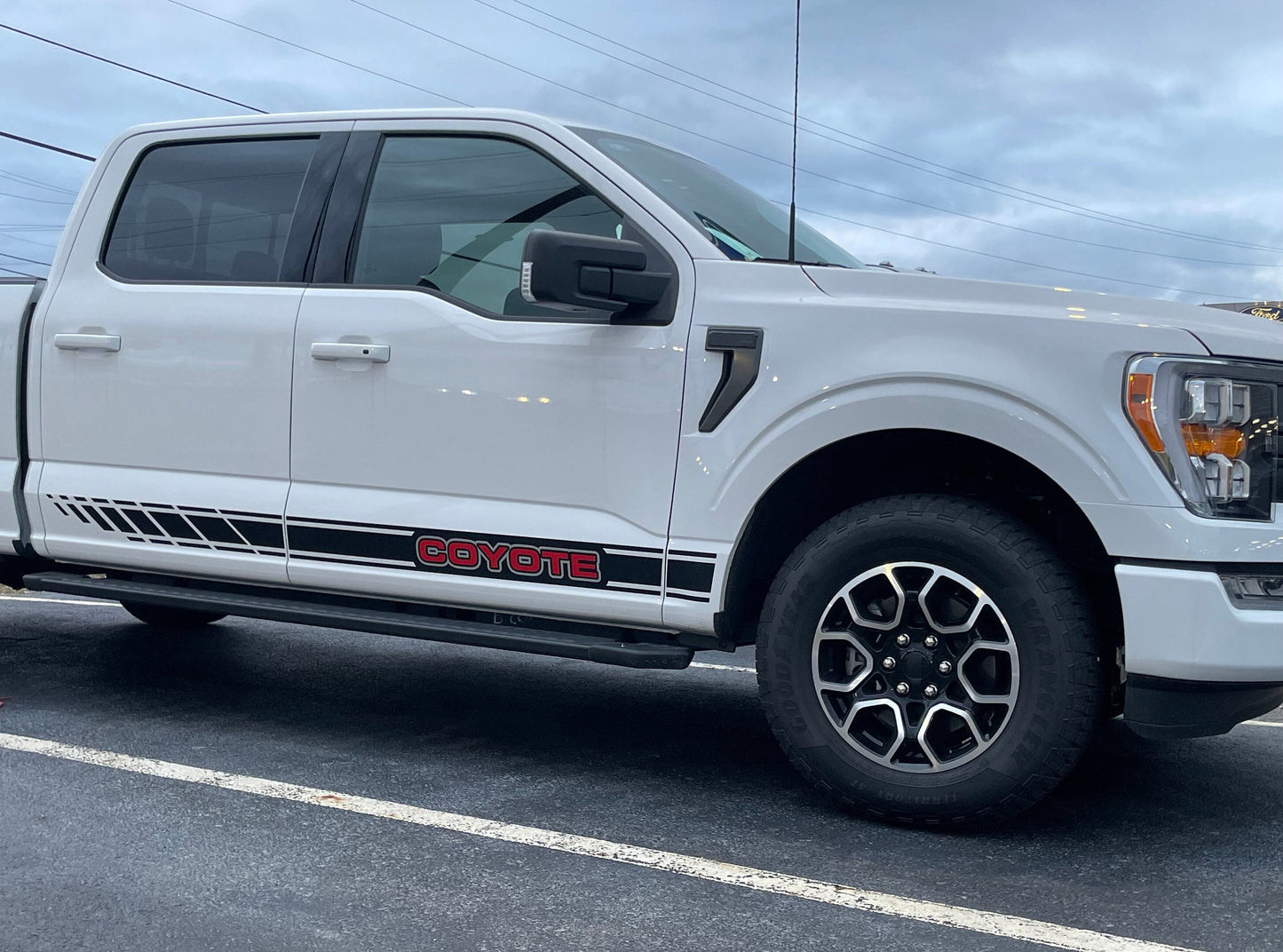 Rocker Stripe Decals by LUDesignsNY Custom Created & Sized to fit on a 21-25 Ford F-150 Super Crew or Super Cab Installation Video Included!