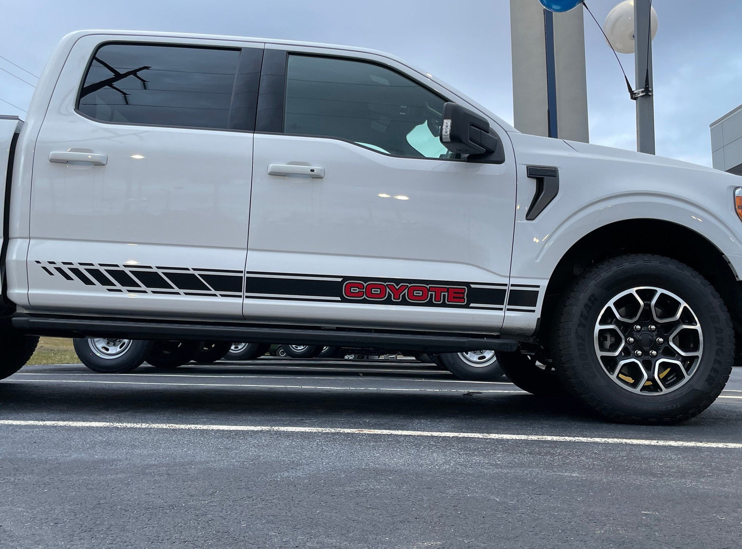 Rocker Stripe Decals by LUDesignsNY Custom Created & Sized to fit on a 21-25 Ford F-150 Super Crew or Super Cab Installation Video Included!