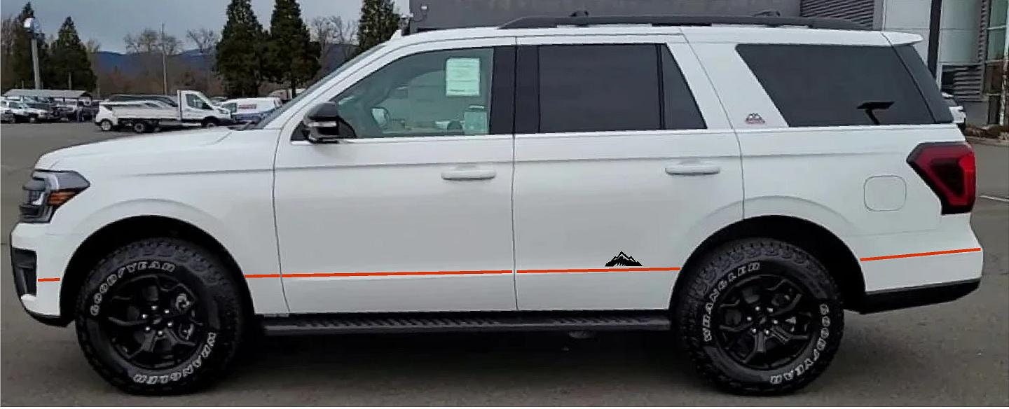 LUDesignsNY's Graphics PKG for a 2022-2023 Ford Expedition Timberline Stripe Sticker Decal Custom All New Accent Sides, Liftgate, Front