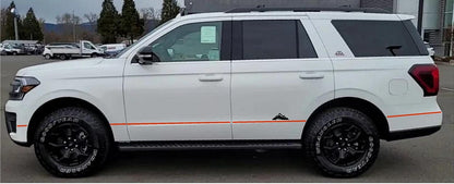 LUDesignsNY's Graphics PKG for a 2022-2023 Ford Expedition Timberline Stripe Sticker Decal Custom All New Accent Sides, Liftgate, Front